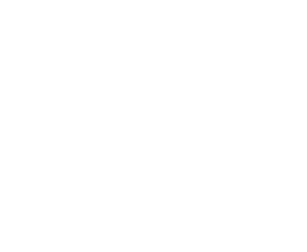 JUNGE KIRCHE SPEYER (JUKI)