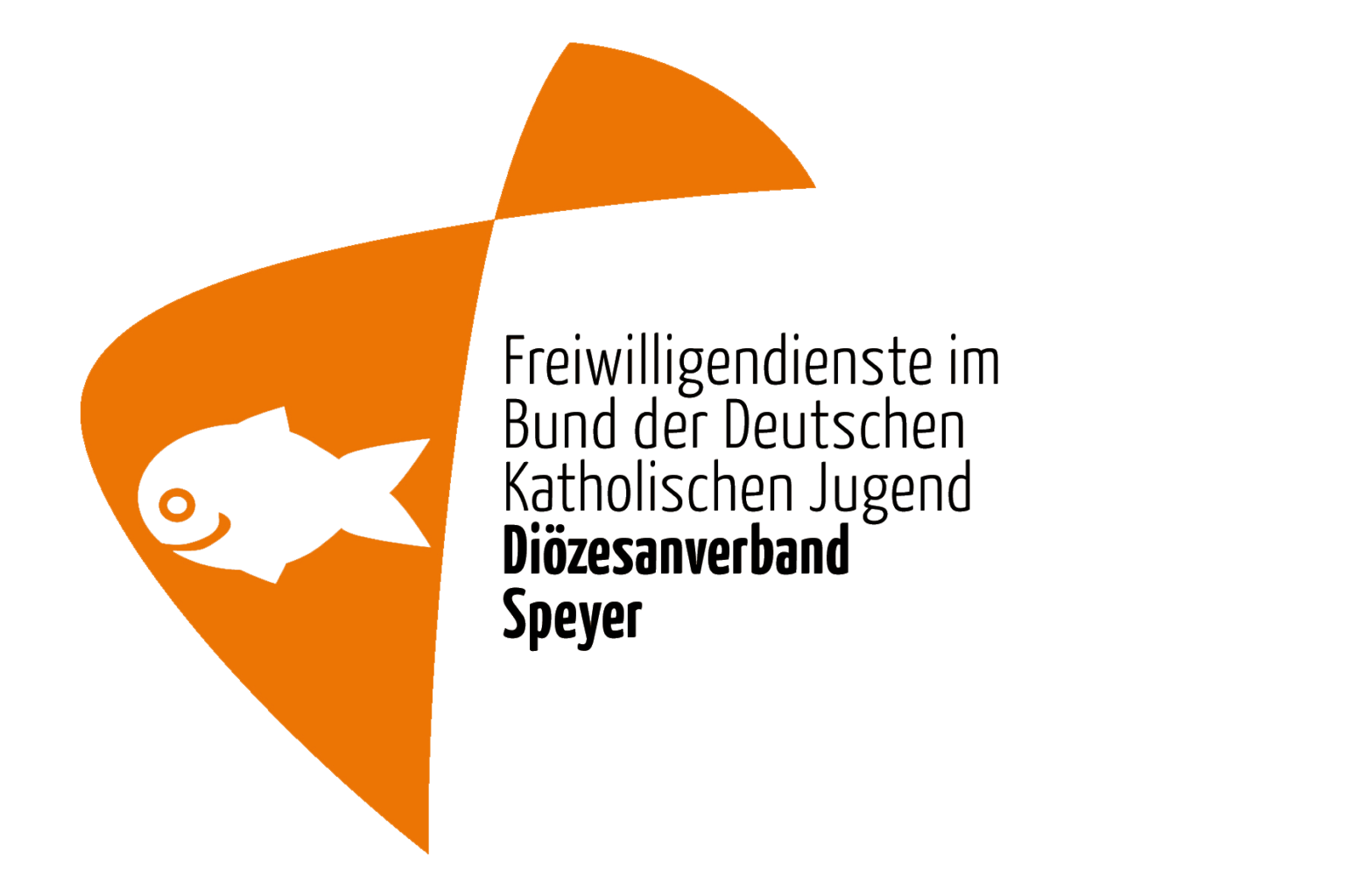 Freiwilliges Soziales Jahr Bund Der Deutschen Katholischen Jugend